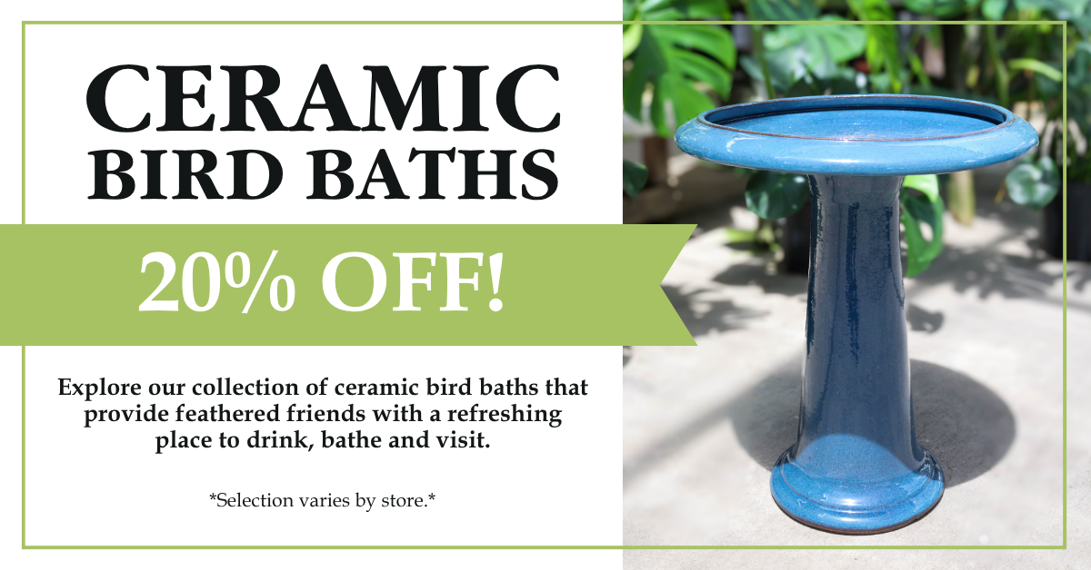 Ceramic Bird Baths