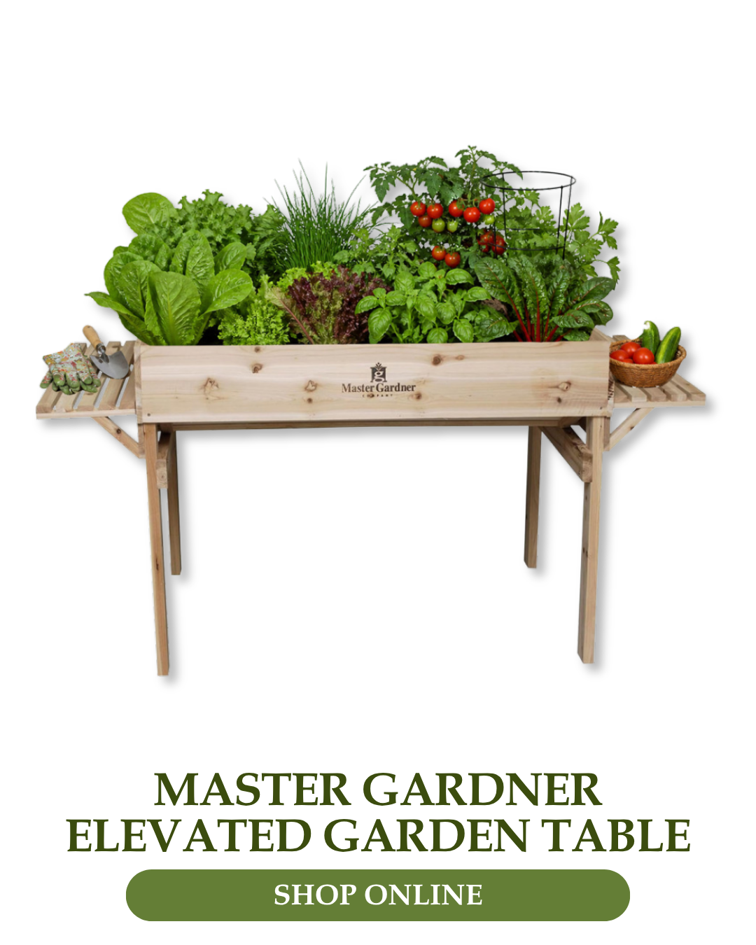 Master Gardner Elevated Garden Table 3' X 4'