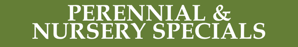 Perennial & Nursery Specials