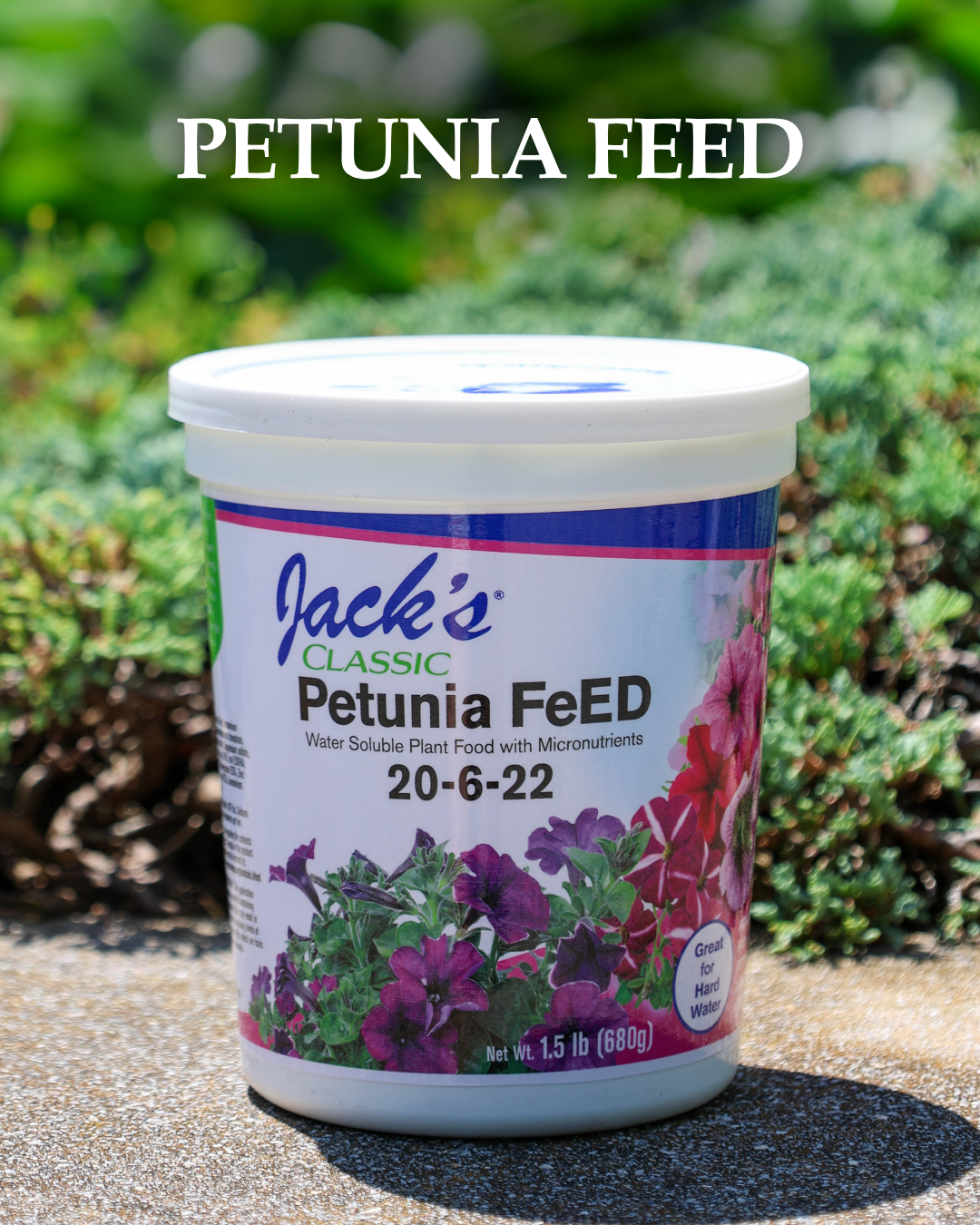 Jack's Petunia Feed