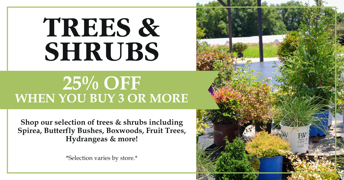Trees & Shrubs