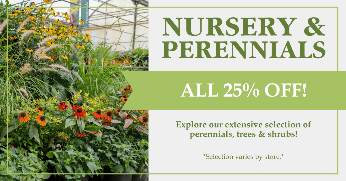 Nursery & Perennials