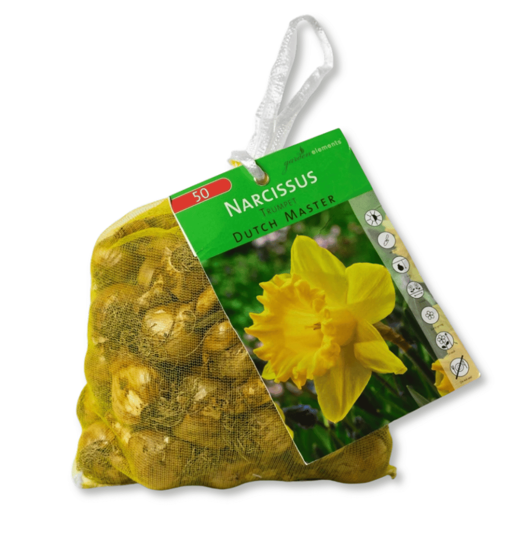 50 Pack of Daffodil Bulbs