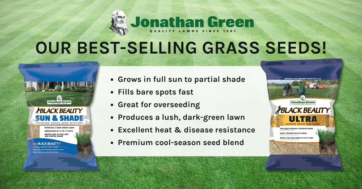 Jonathan Green Best-Selling Grass Seeds