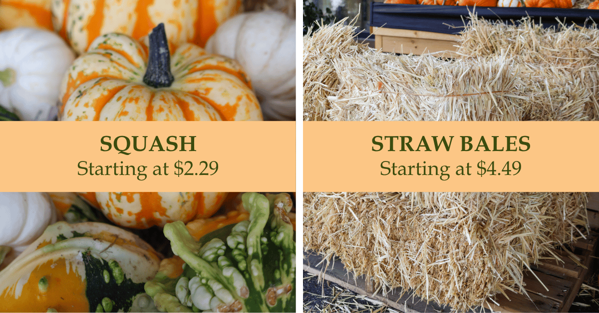 Squash & Straw Bales
