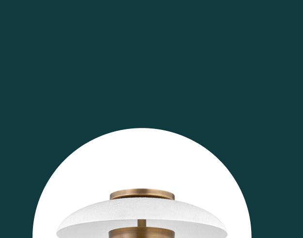 Shop Noah Wall / Ceiling Light