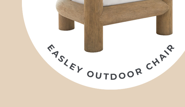 Shop Easley Outdoor Chair