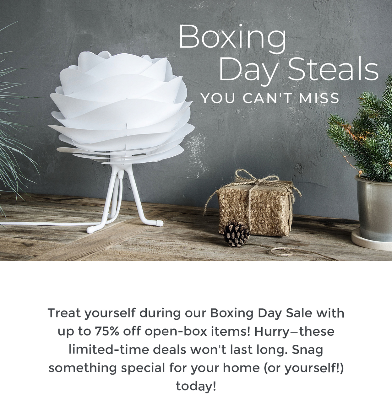 Boxing Day Steals You Can't Miss | Treat yourself during our Boxing Day Sale with up to 75% off open-box items! Hurry—these limited-time deals won't last long. Snag something special for your home (or yourself!) today!