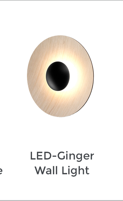 LED-Ginger Wall / Ceiling Light