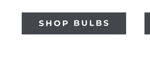 Shop Bulbs