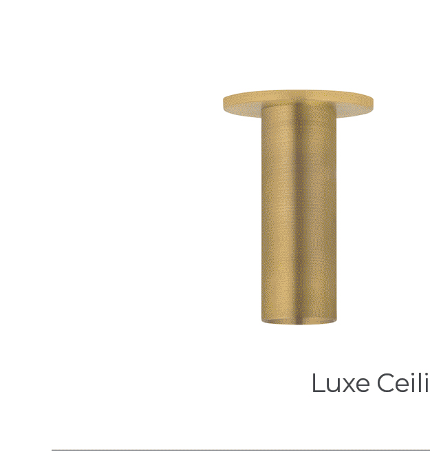 Luxe Ceiling Light