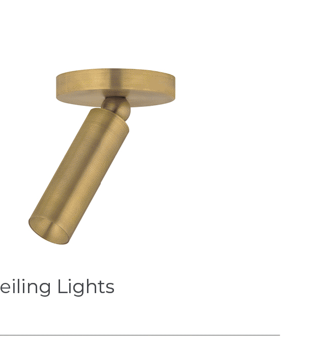 Luxe Pivot Ceiling Light