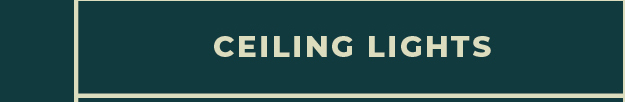 [Ceiling Lights]