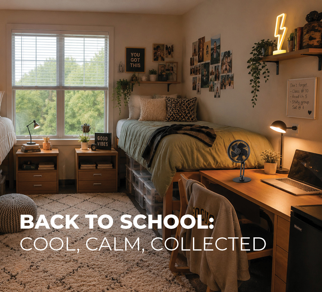 Back to School: Cool, Calm, Collected