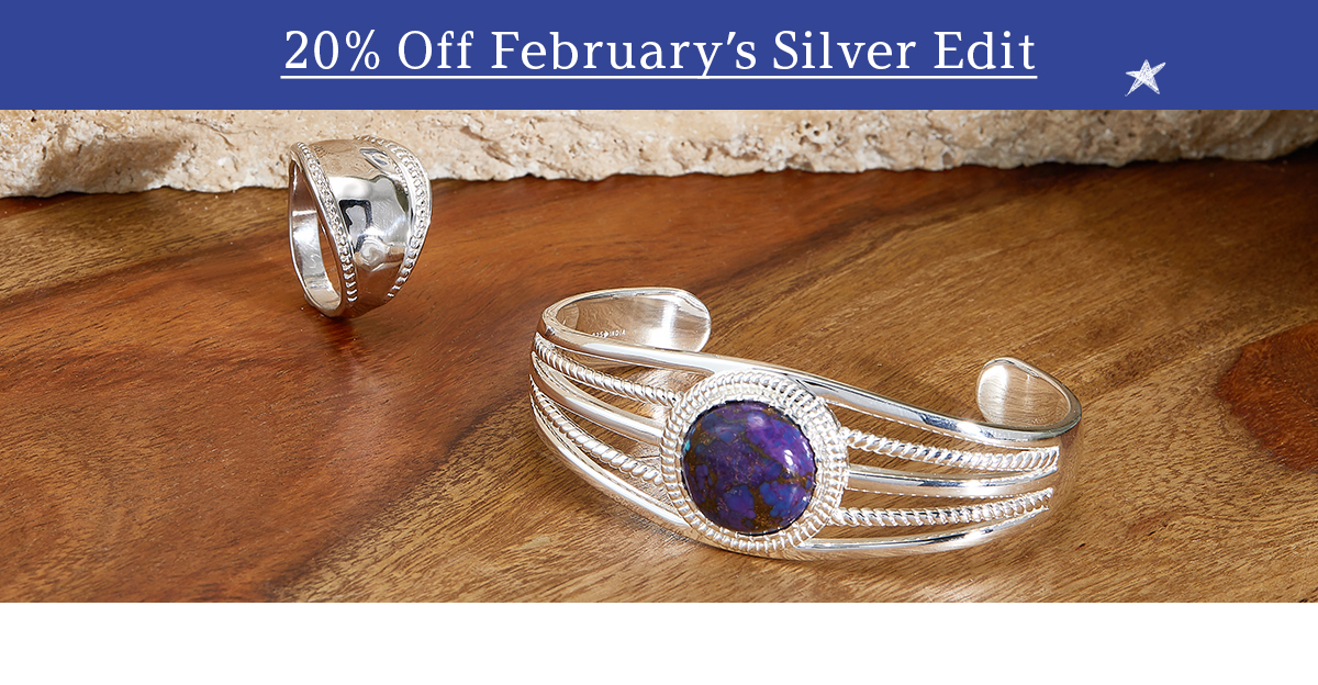 20% Off Silver Edit