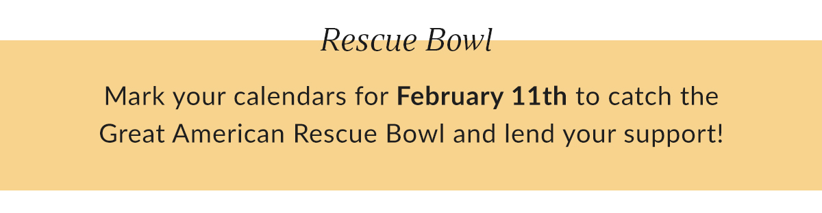 Shop for a Cause