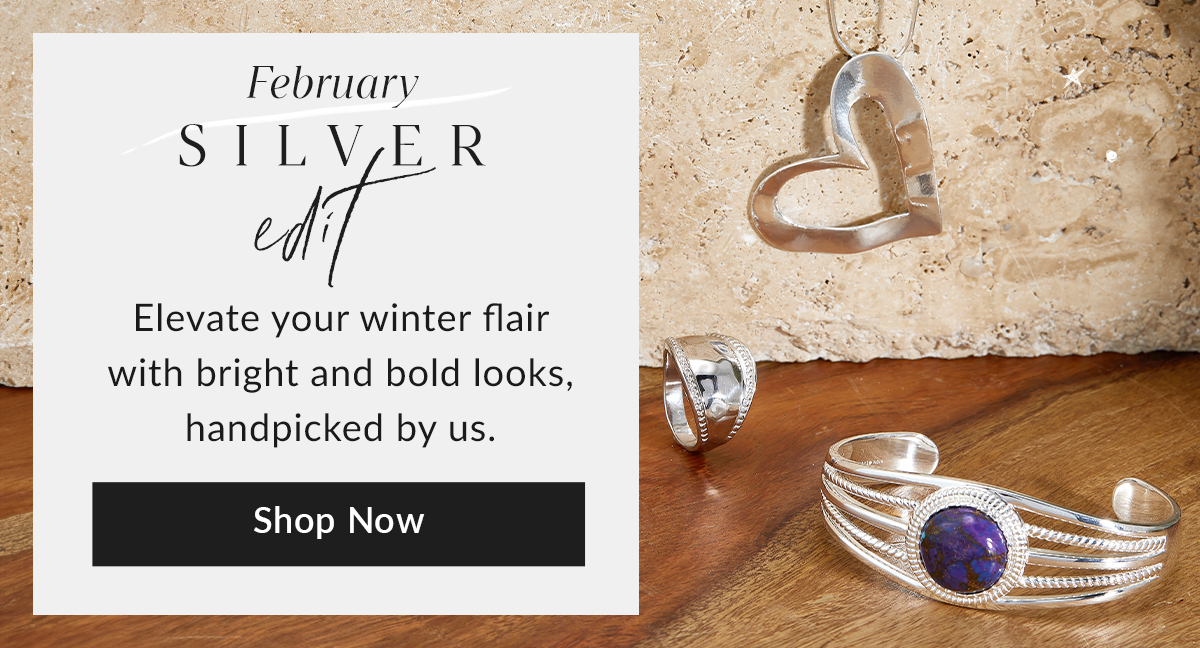 Shop Monthly Silver Edit
