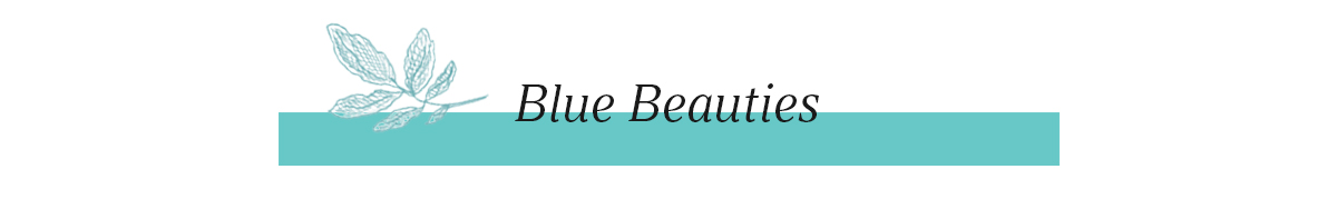 Shop Turquoise