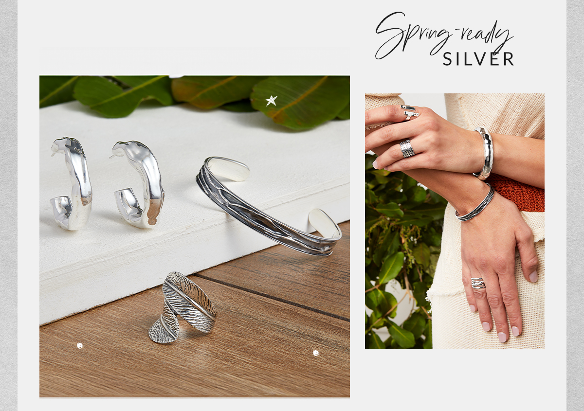 Shop March Silver Edit