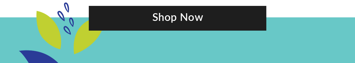 Shop All New