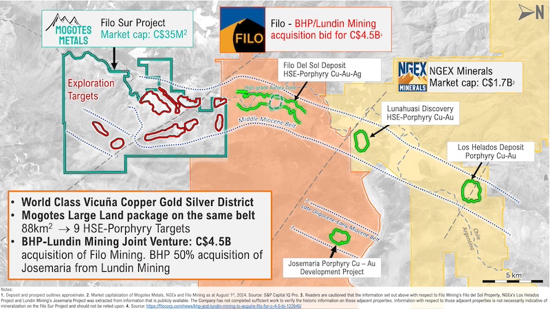 Map showing the Vicuña copper district that straddles the Argentina-Chile border.