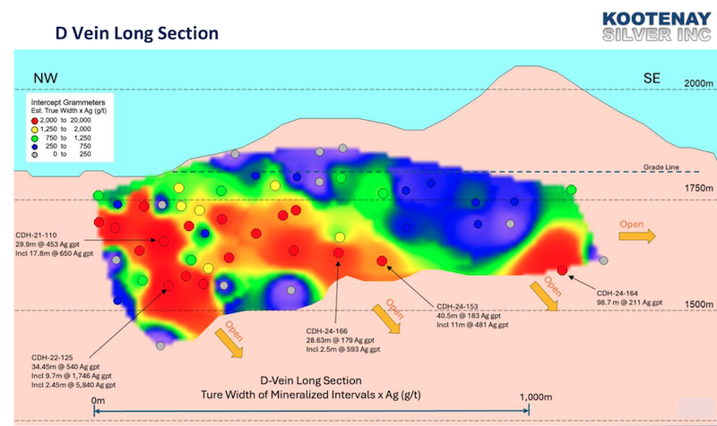 Long section of the Columba project’s D vein