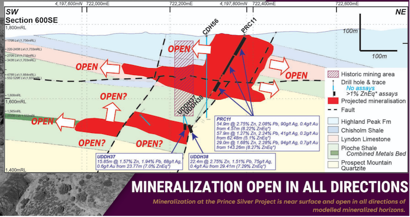 Graphic of Prince Project mineralization, featuring open areas including the Pioche shale