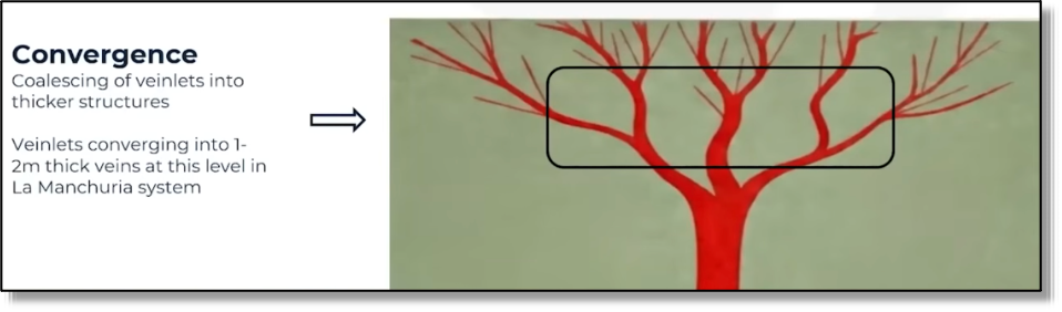 Visual representing the initial convergence discovered at La Manchuria