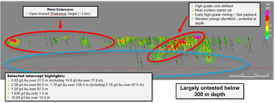 Long section of the Eureka Gold Deposit showing modeled ore shells.