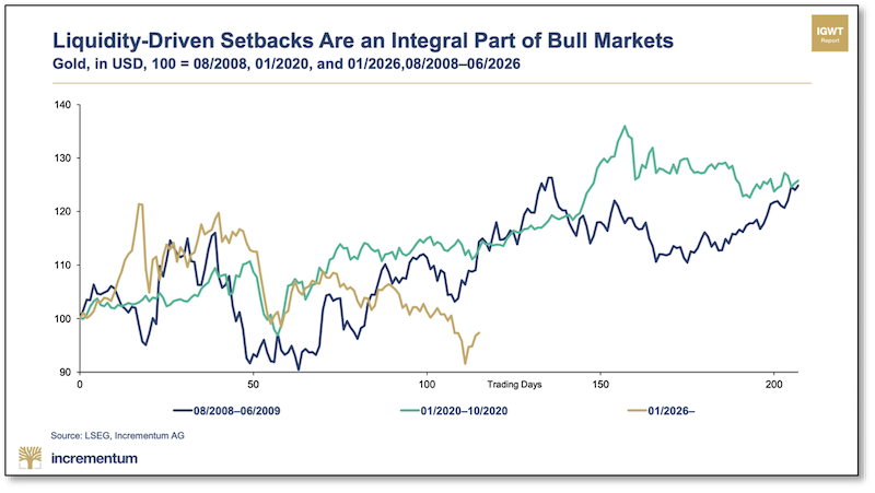 Chart from In Gold We Trust Report
