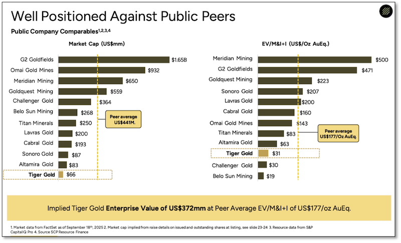 Chart showing Tiger’s low valuation compared with peer companies.