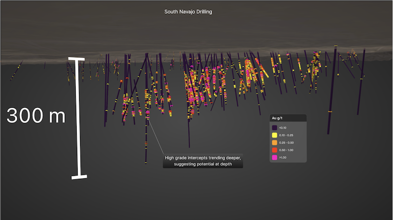 Three-dimensional drill hole model of the South Navajo target, built from the company's compiled historical database, showing gold grades across more than 100 drill holes over a 300-meter vertical section.