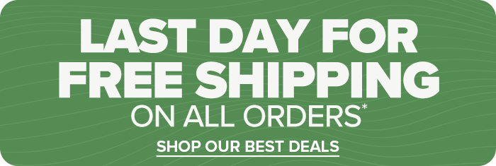Free Shipping on All Orders