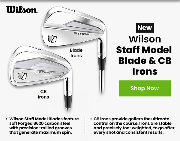 Wilson Staff Model