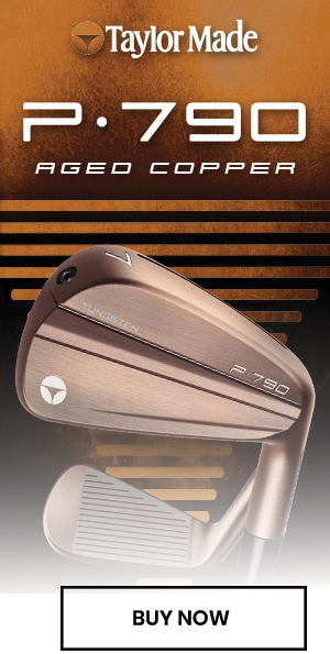 TaylorMade P790 Aged Copper Iron Set