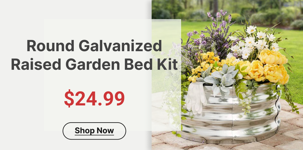 Round Galvanized Raised Garden Bed Kit