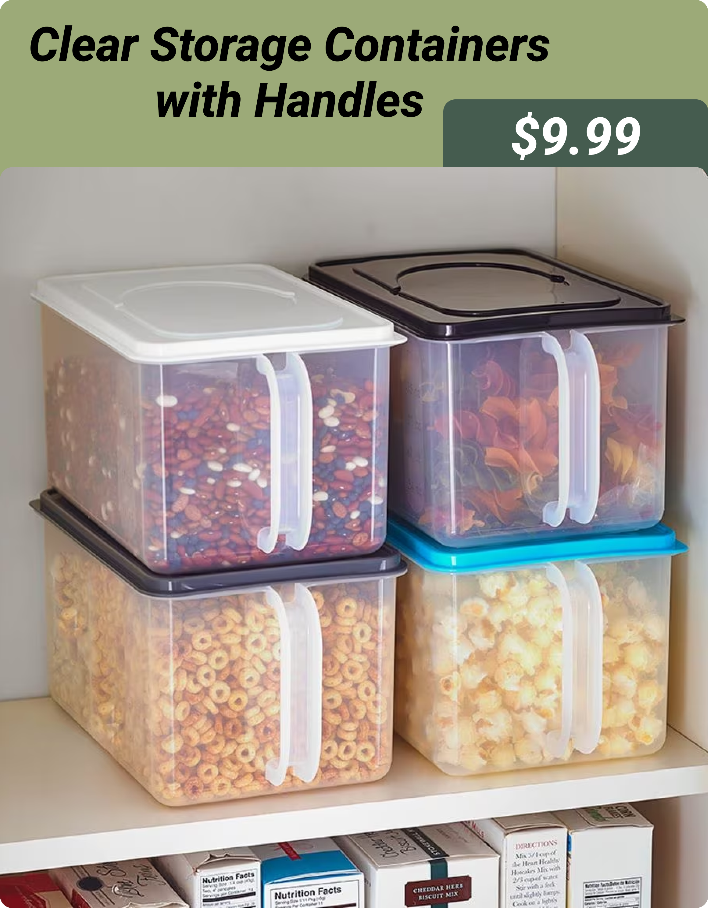 Clear Storage Containers with Handles