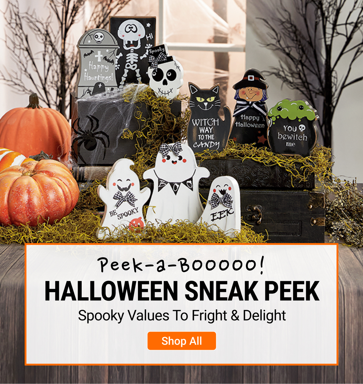 👻👀NEW: HALLOWEEN SNEAK PEEK! - LTD Commodities