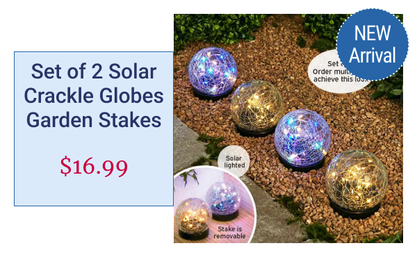 Set of 2 Solar Crackle Globes Garden Stakes
