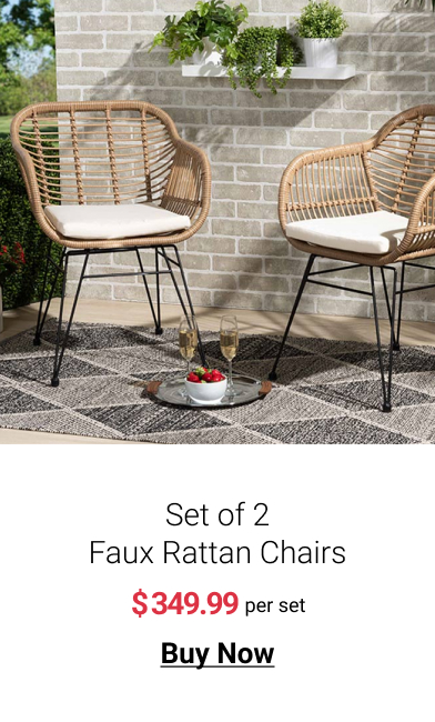 Set of 2 Faux Rattan Chairs