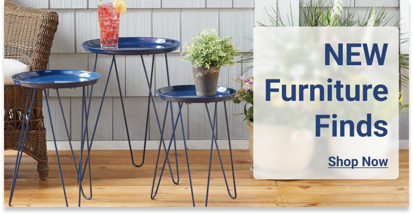 NEW Furniture ! Finds W Shop Now 
