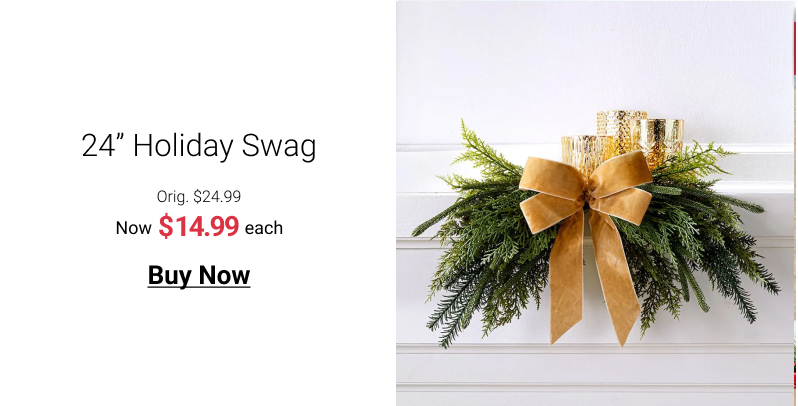 24" Holiday Swag Orig. $24.99 Now 31499 each Buy Now 