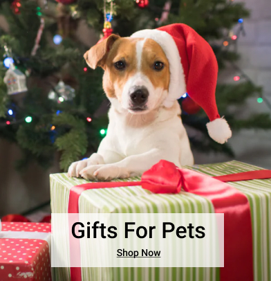  Gifts For Pets Shop Now 
