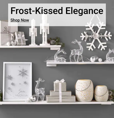 Frost-Kissed Elegance Shop Now 