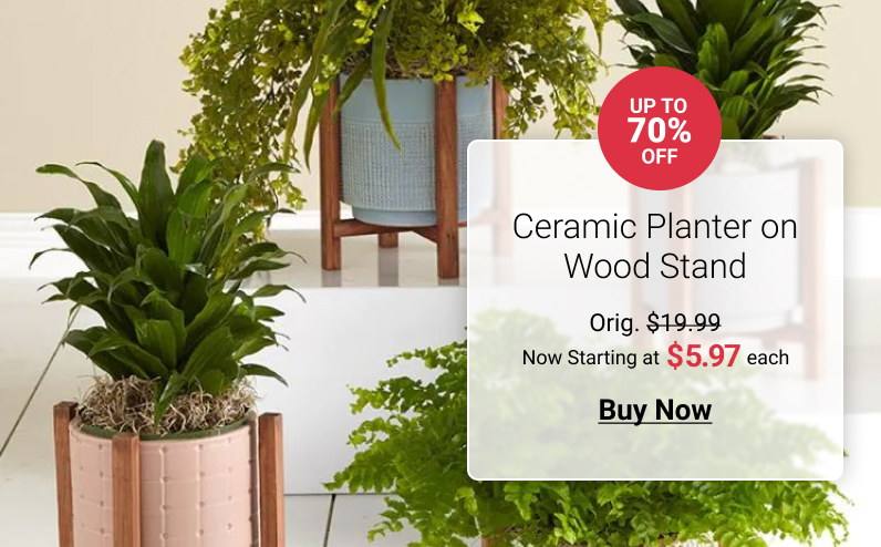  Ceramic Planter on Wood Stand Orig. $19-99 Now Starting at each Buy Now 