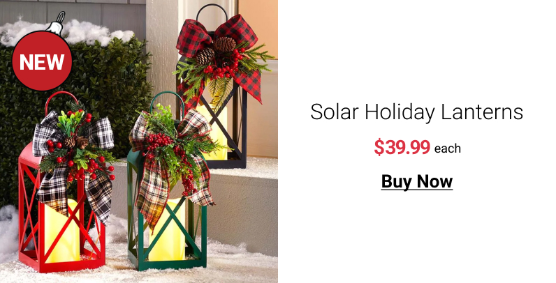 Solar Holiday Lanterns each Buy Now 