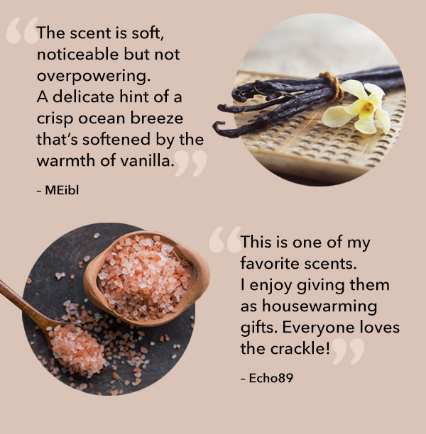 Fragrance Spotlight - Vanilla & Sea Salt