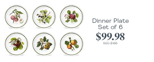 Pomona Dinner Plates Set of 6 $99.98