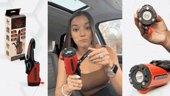 Buy from Auto Guardian