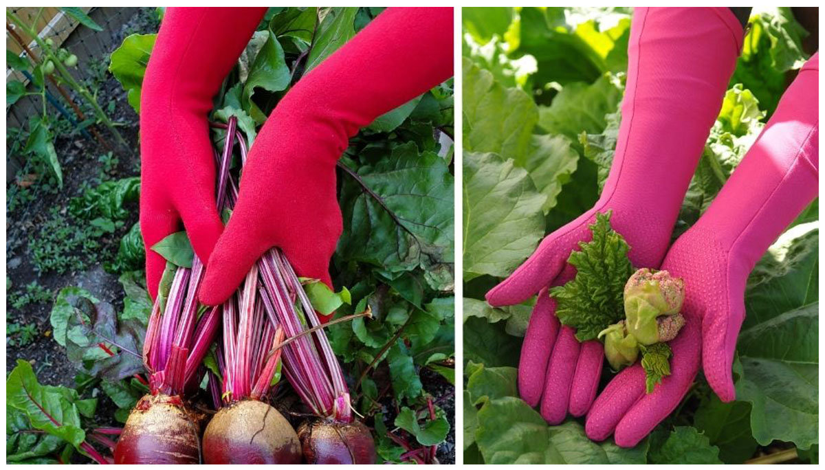 Buy from Foxgloves